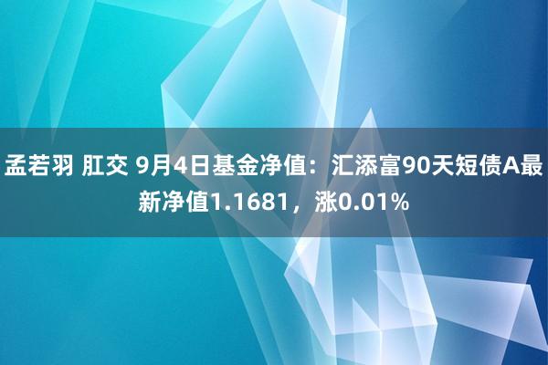 孟若羽 肛交 9月4日基金净值：汇添富90天短债A最新净值1.1681，涨0.01%