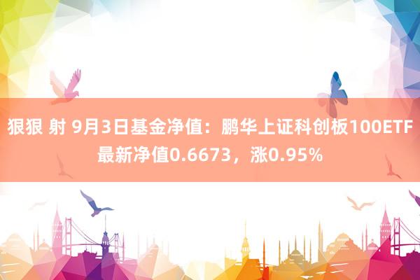 狠狠 射 9月3日基金净值：鹏华上证科创板100ETF最新净值0.6673，涨0.95%
