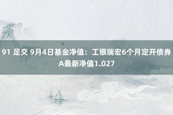 91 足交 9月4日基金净值：工银瑞宏6个月定开债券A最新净值1.027