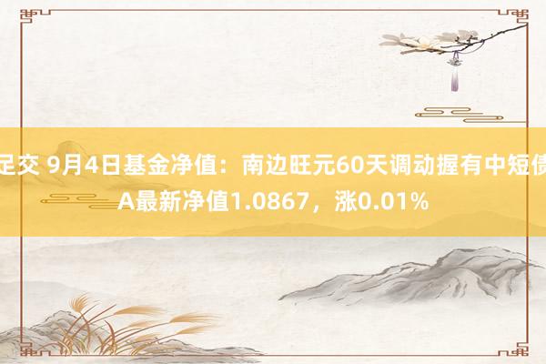 足交 9月4日基金净值：南边旺元60天调动握有中短债A最新净值1.0867，涨0.01%