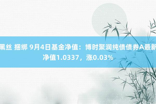 黑丝 捆绑 9月4日基金净值：博时聚润纯债债券A最新净值1.0337，涨0.03%