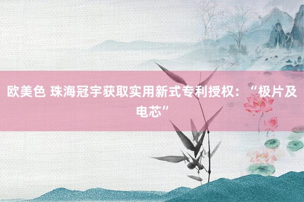 欧美色 珠海冠宇获取实用新式专利授权：“极片及电芯”