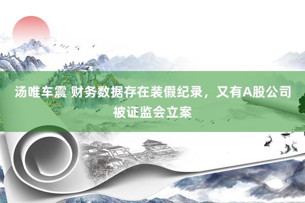汤唯车震 财务数据存在装假纪录，又有A股公司被证监会立案