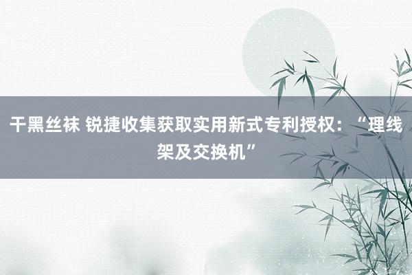 干黑丝袜 锐捷收集获取实用新式专利授权：“理线架及交换机”