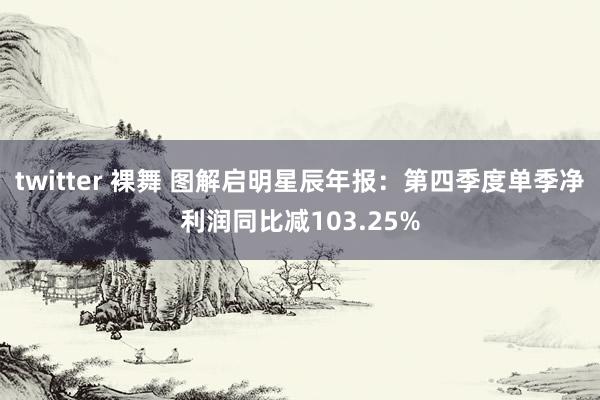 twitter 裸舞 图解启明星辰年报：第四季度单季净利润同