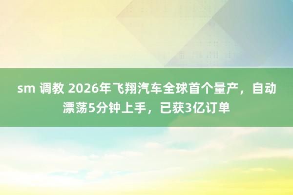 sm 调教 2026年飞翔汽车全球首个量产，自动漂荡5分钟上手，已获3亿订单