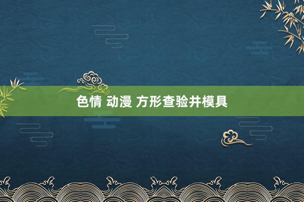 色情 动漫 方形查验井模具