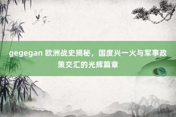 gegegan 欧洲战史揭秘，国度兴一火与军事政策交汇的光辉
