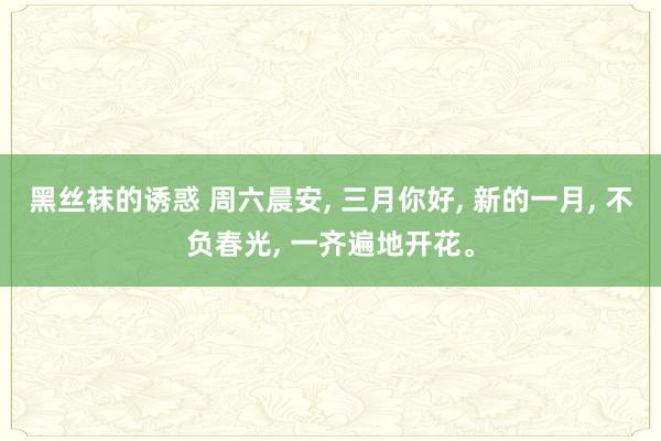 黑丝袜的诱惑 周六晨安, 三月你好, 新的一月, 不负春光, 一齐遍地开花。