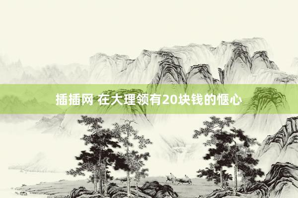 插插网 在大理领有20块钱的惬心