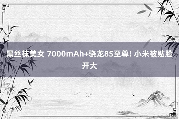 黑丝袜美女 7000mAh+骁龙8S至尊! 小米被贴脸开大