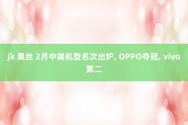 jk 黑丝 2月中端机型名次出炉, OPPO夺冠, vivo第二