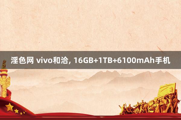 淫色网 vivo和洽, 16GB+1TB+6100mAh手机