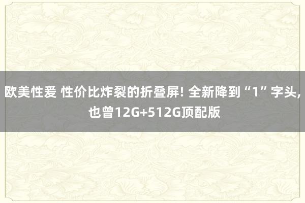 欧美性爰 性价比炸裂的折叠屏! 全新降到“1”字头, 也曾1