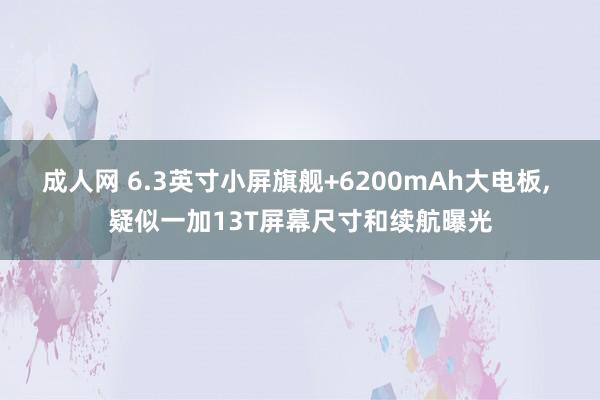 成人网 6.3英寸小屏旗舰+6200mAh大电板, 疑似一加