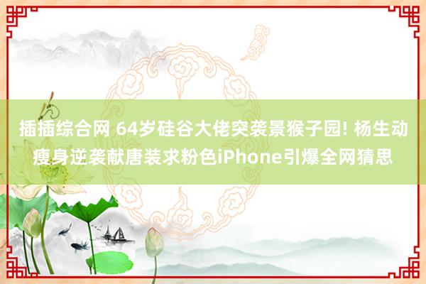 插插综合网 64岁硅谷大佬突袭景猴子园! 杨生动瘦身逆袭献唐