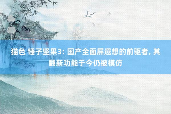 猫色 锤子坚果3: 国产全面屏遐想的前驱者, 其翻新功能于今