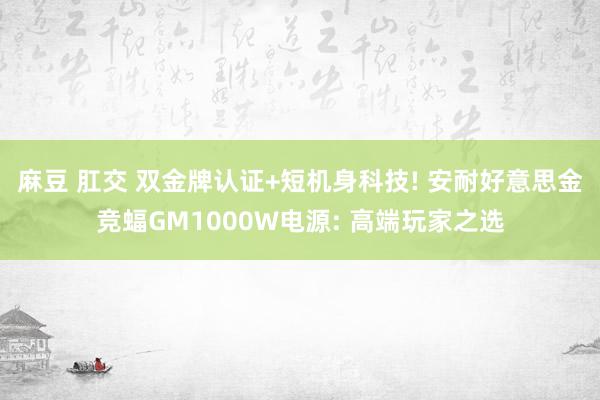 麻豆 肛交 双金牌认证+短机身科技! 安耐好意思金竞蝠GM1000W电源: 高端玩家之选