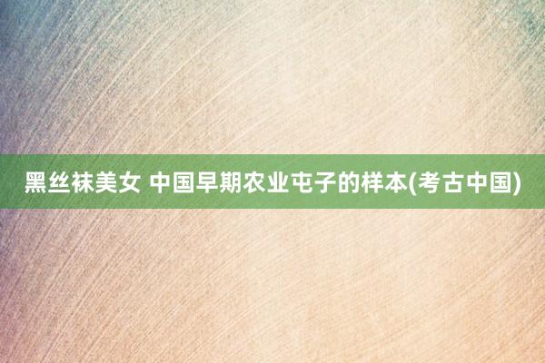 黑丝袜美女 中国早期农业屯子的样本(考古中国)