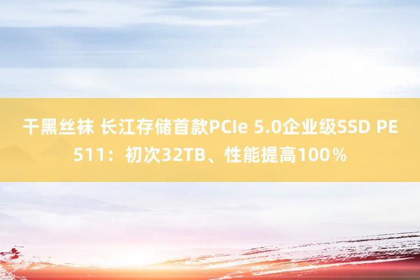 干黑丝袜 长江存储首款PCIe 5.0企业级SSD PE51