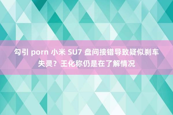 勾引 porn 小米 SU7 盘问接错导致疑似刹车失灵？王化