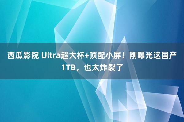 西瓜影院 Ultra超大杯+顶配小屏！刚曝光这国产1TB，也