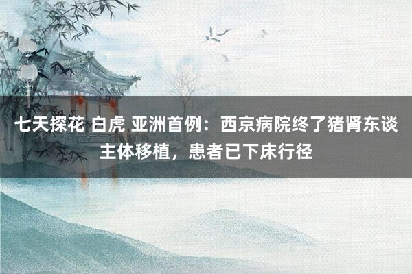 七天探花 白虎 亚洲首例：西京病院终了猪肾东谈主体移植，患者