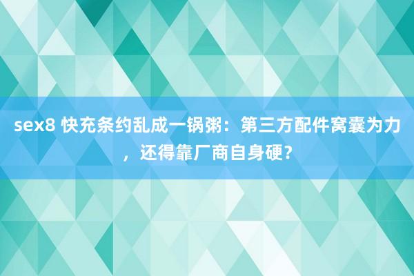 sex8 快充条约乱成一锅粥：第三方配件窝囊为力，还得靠厂商自身硬？